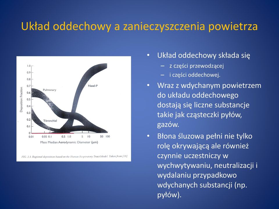 Wraz z wdychanym powietrzem do układu oddechowego dostają się liczne substancje takie jak