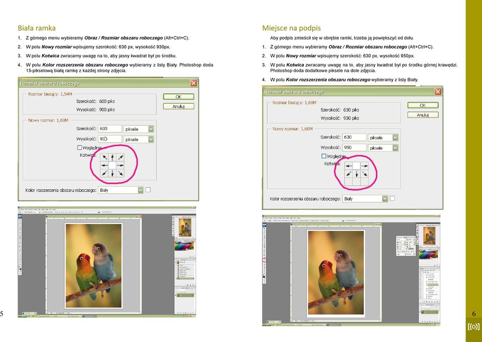 Photoshop doda 15-pikselową białą ramkę z każdej strony zdjęcia. Miejsce na podpis Aby podpis zmieścił się w obrębie ramki, trzeba ją powiększyć od dołu. 1. Z górnego menu wybieramy Obraz / Rozmiar obszaru roboczego (Alt+Ctrl+C).