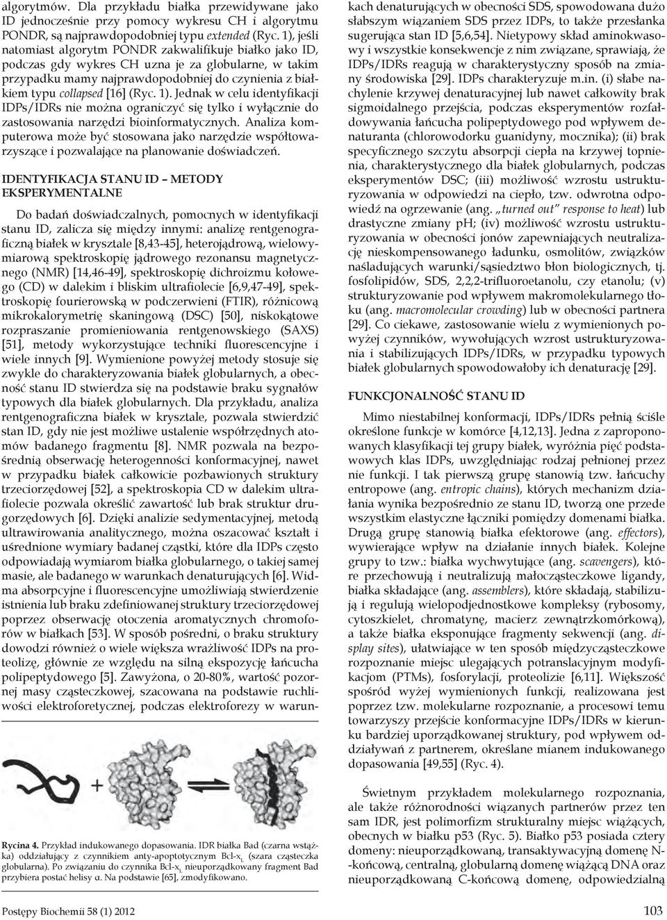 (Ryc. 1). Jednak w celu identyfikacji IDPs/IDRs nie można ograniczyć się tylko i wyłącznie do zastosowania narzędzi bioinformatycznych.