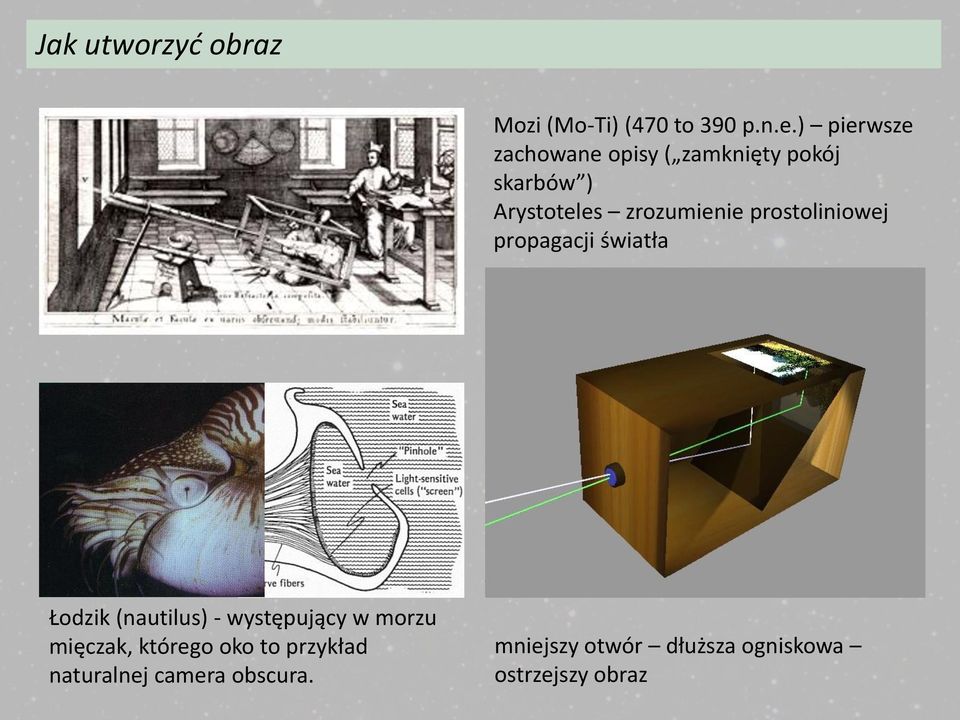 zrozumienie prostoliniowej propagacji światła Łodzik (nautilus) - występujący