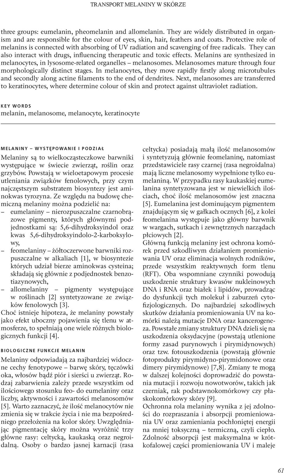 Melanins are synthesized in melanocytes, in lysosome-related organelles melanosomes. Melanosomes mature through four morphologically distinct stages.