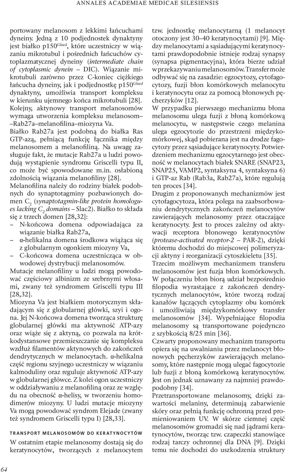 Wiązanie mikrotubuli zarówno przez C-koniec ciężkiego łańcucha dyneiny, jak i podjednostkę p150 Glued dynaktyny, umożliwia transport kompleksu w kierunku ujemnego końca mikrotubuli [28].