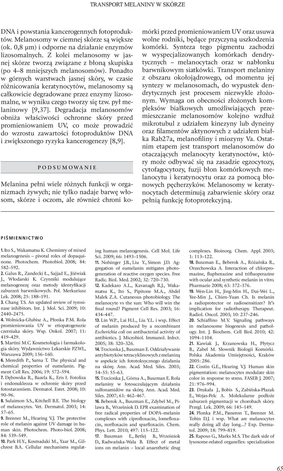 Ponadto w górnych warstwach jasnej skóry, w czasie różnicowania keratynocytów, melanosomy są całkowicie degradowane przez enzymy lizosomalne, w wyniku czego tworzy się tzw. pył melaninowy [9,37].