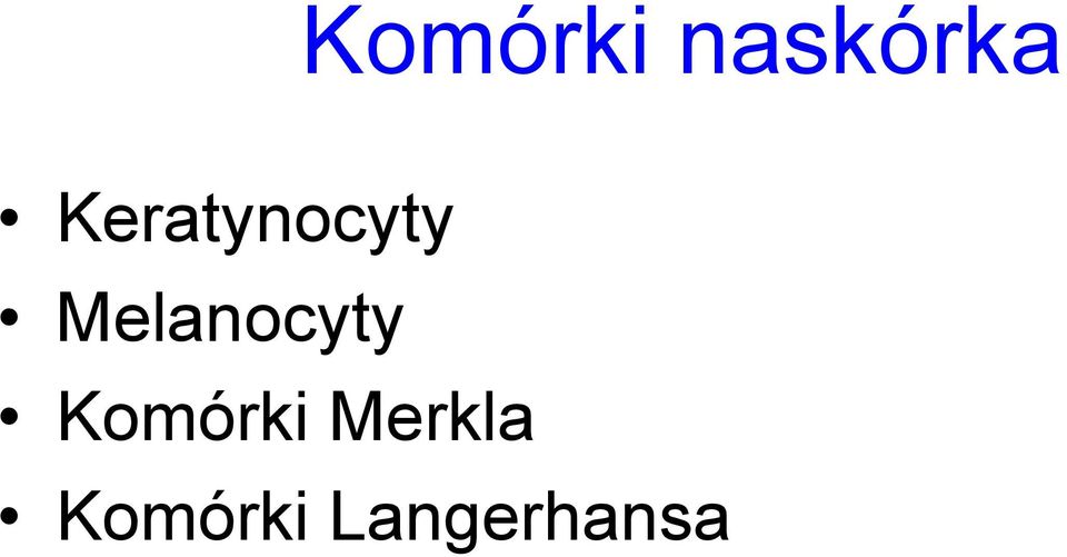 Melanocyty Komórki