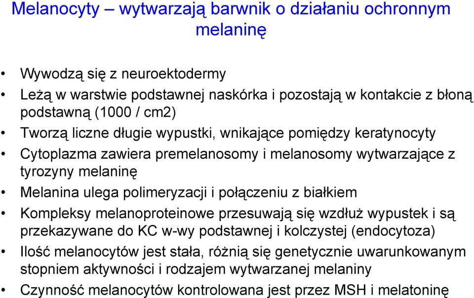 polimeryzacji i połączeniu z białkiem Kompleksy melanoproteinowe przesuwają się wzdłuż wypustek i są przekazywane do KC w-wy podstawnej i kolczystej (endocytoza) Ilość