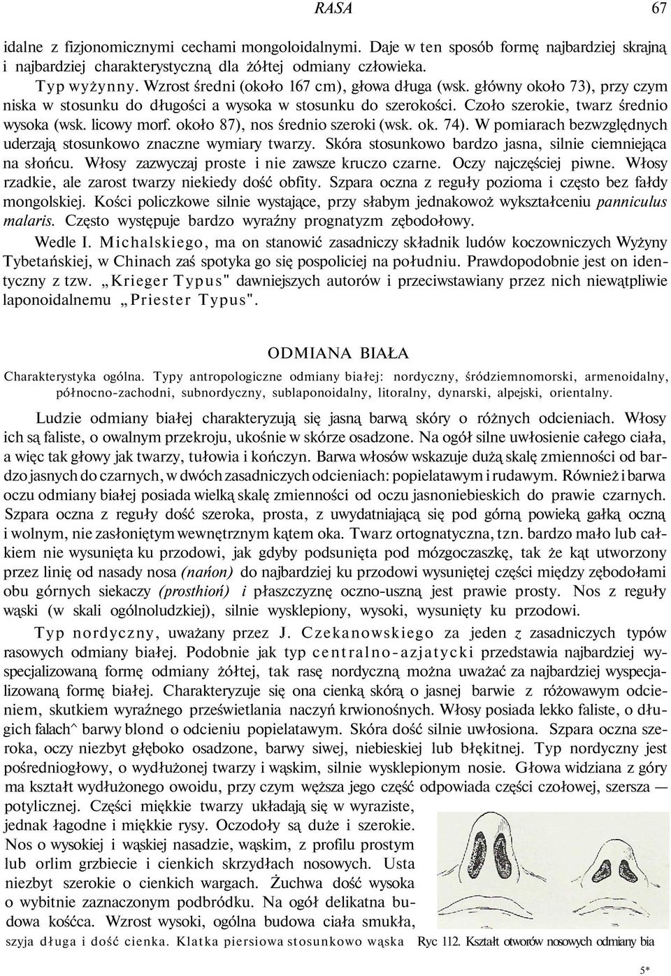 około 87), nos średnio szeroki (wsk. ok. 74). W pomiarach bezwzględnych uderzają stosunkowo znaczne wymiary twarzy. Skóra stosunkowo bardzo jasna, silnie ciemniejąca na słońcu.