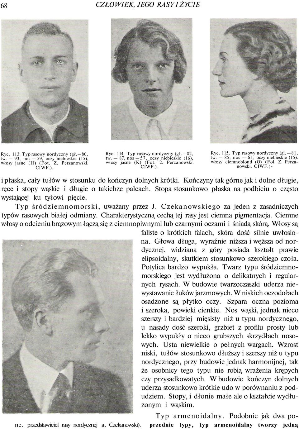 Perzanowski. CIWF.)- i płaska, cały tułów w stosunku do kończyn dolnych krótki. Kończyny tak górne jak i dolne długie, ręce i stopy wąskie i długie o takichże palcach.