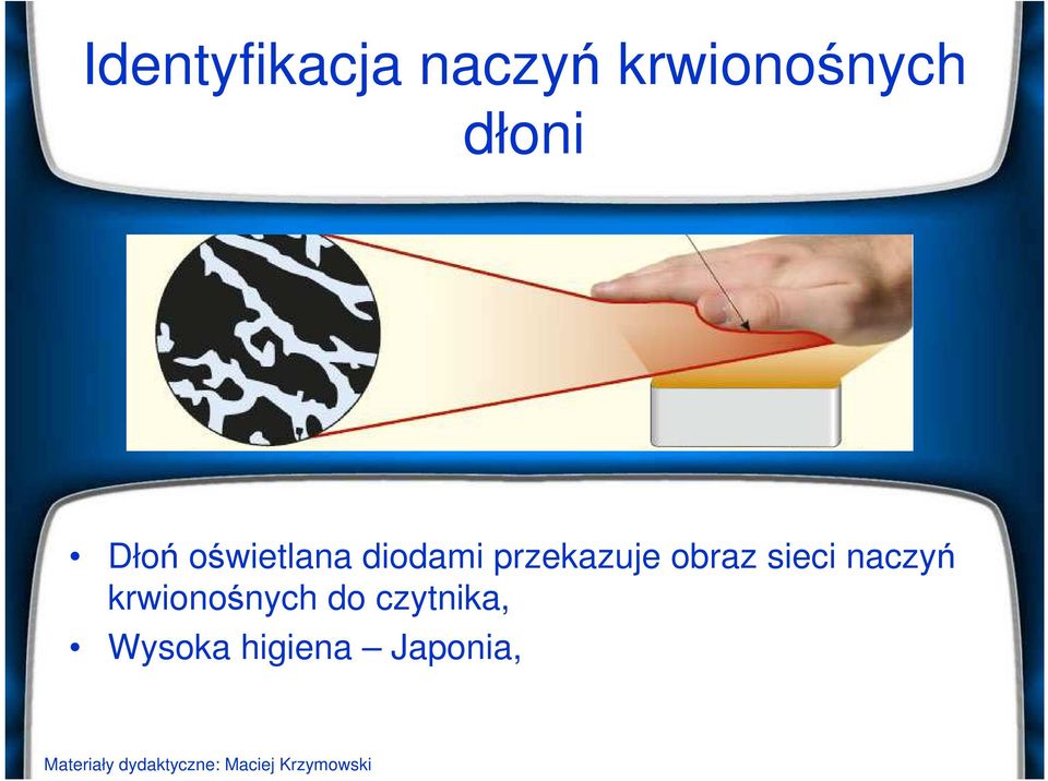 przekazuje obraz sieci naczyń