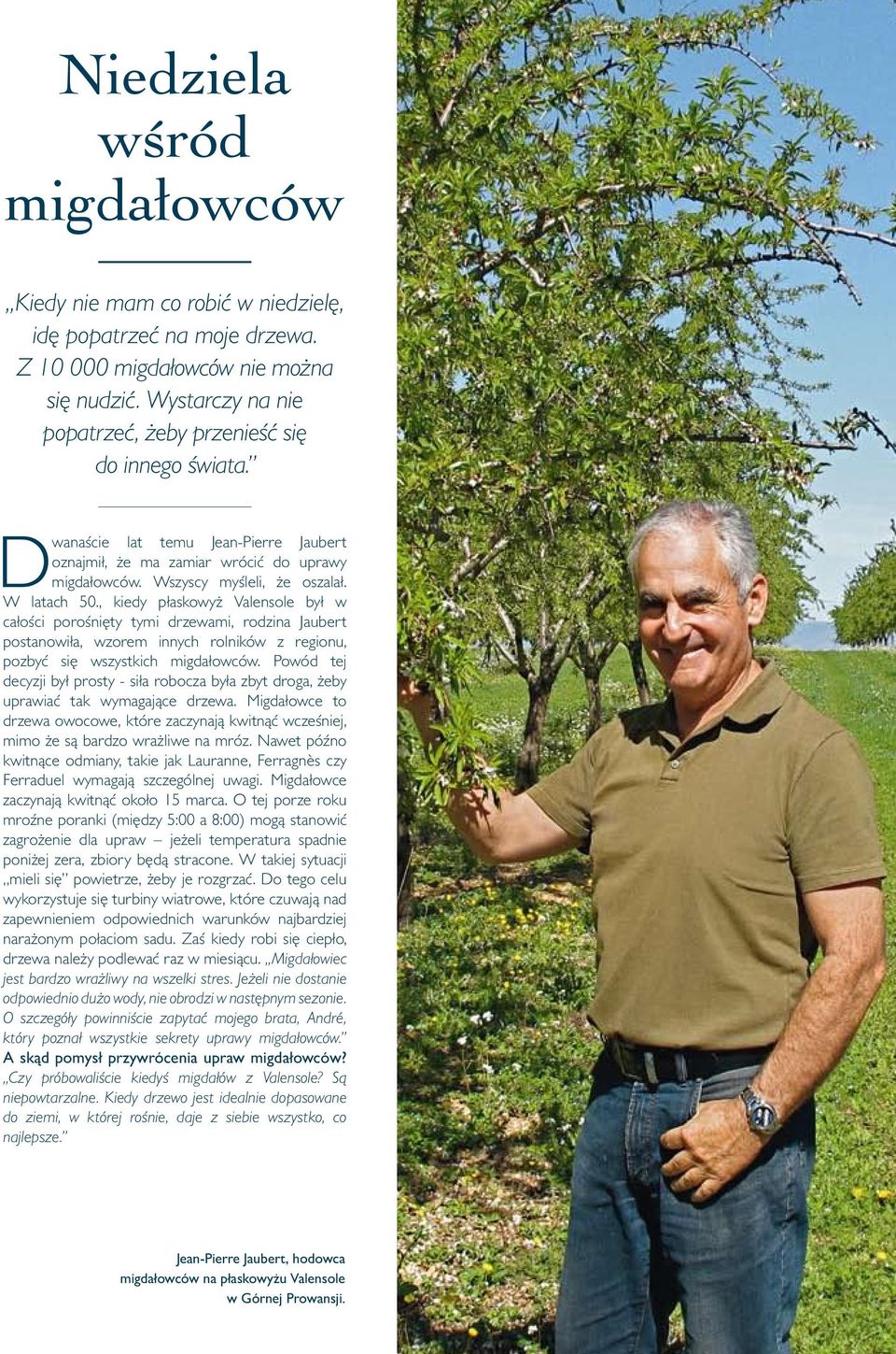 , kiedy płaskowyż Valensole był w całości porośnięty tymi drzewami, rodzina Jaubert postanowiła, wzorem innych rolników z regionu, pozbyć się wszystkich migdałowców.
