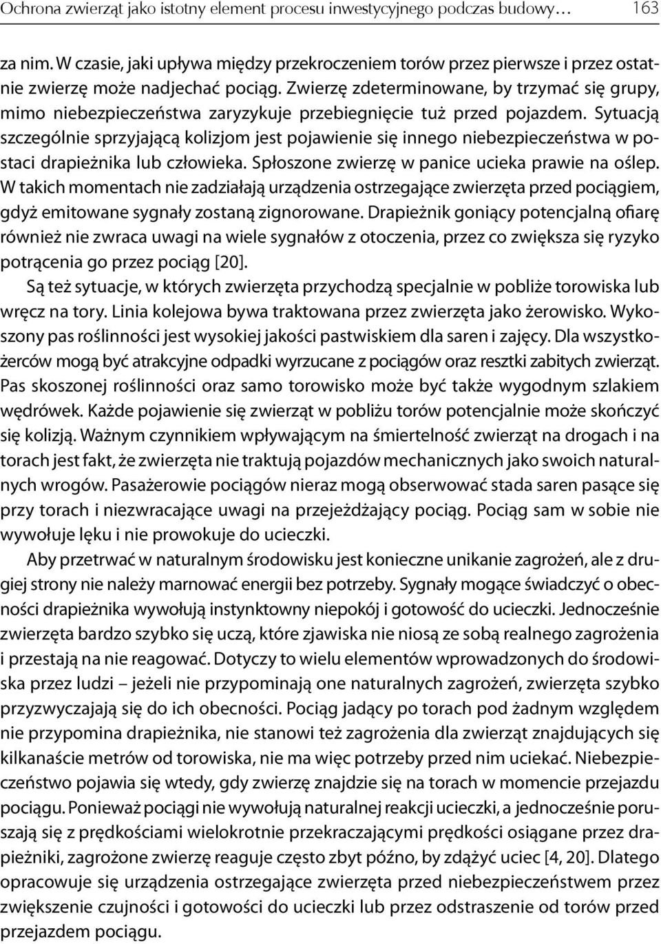Sytuacją szczególnie sprzyjającą kolizjom jest pojawienie się innego niebezpieczeństwa w postaci drapieżnika lub człowieka. Spłoszone zwierzę w panice ucieka prawie na oślep.