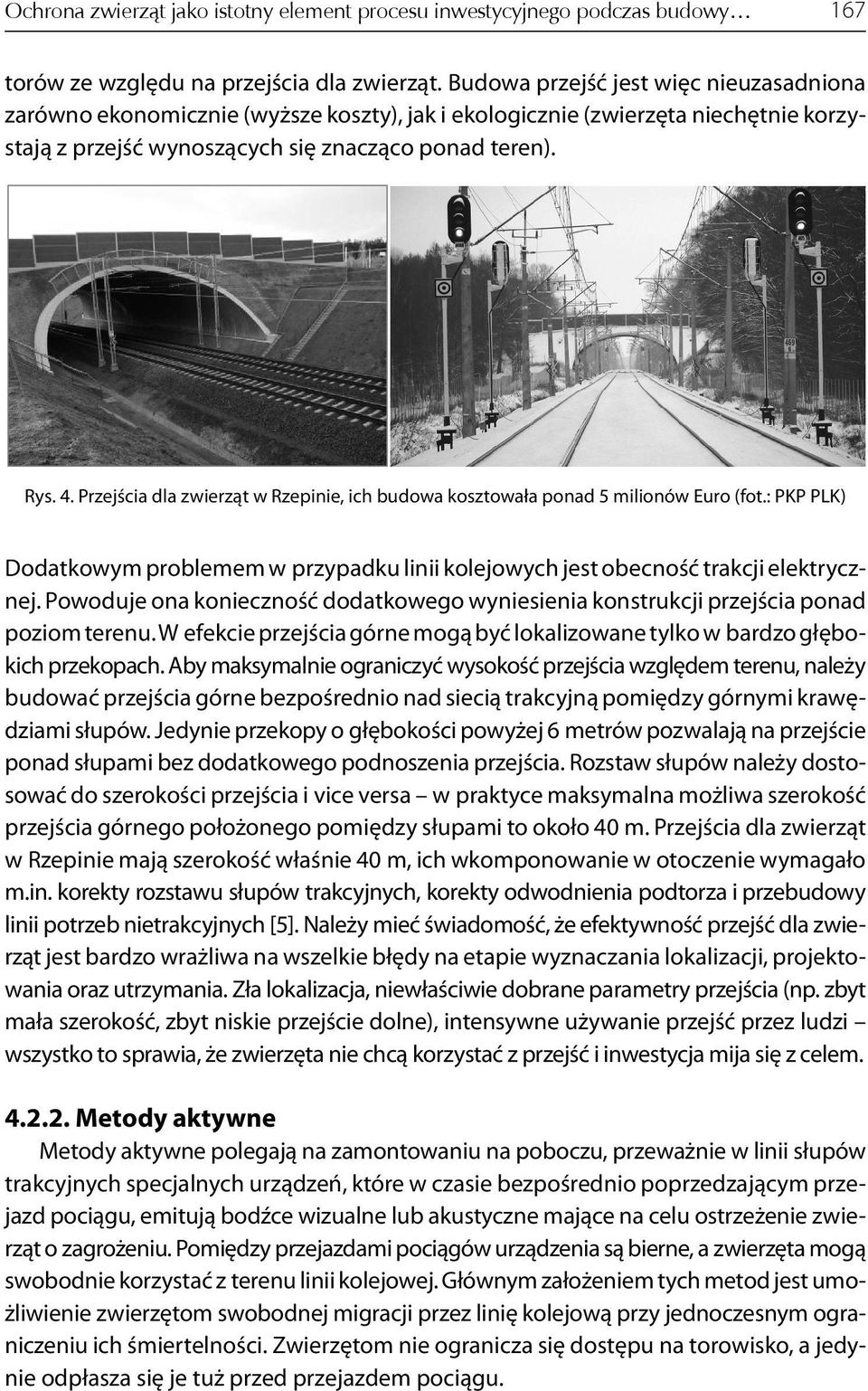 Przejścia dla zwierząt w Rzepinie, ich budowa kosztowała ponad 5 milionów Euro (fot.: PKP PLK) Dodatkowym problemem w przypadku linii kolejowych jest obecność trakcji elektrycznej.