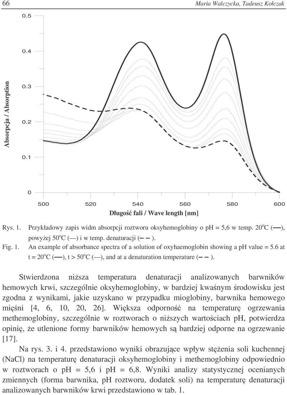 An example of absorbance spectra of a solution of oxyhaemoglobin showing a ph value = 5.6 at t = 20 o C ( ), t > 50 o C ( ), and at a denaturation temperature ( ).