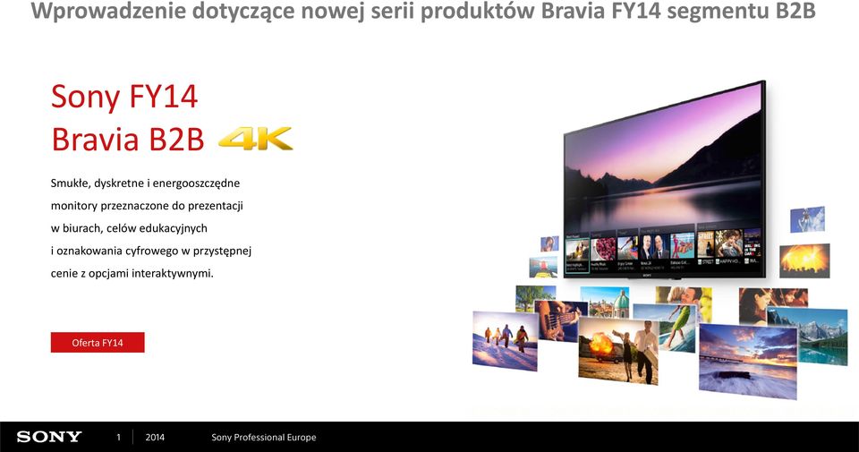 przeznaczone do prezentacji w biurach, celów edukacyjnych i