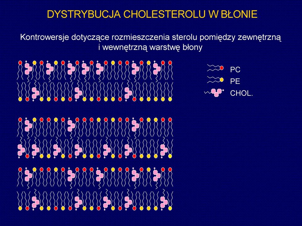 rozmieszczenia sterolu pomiędzy