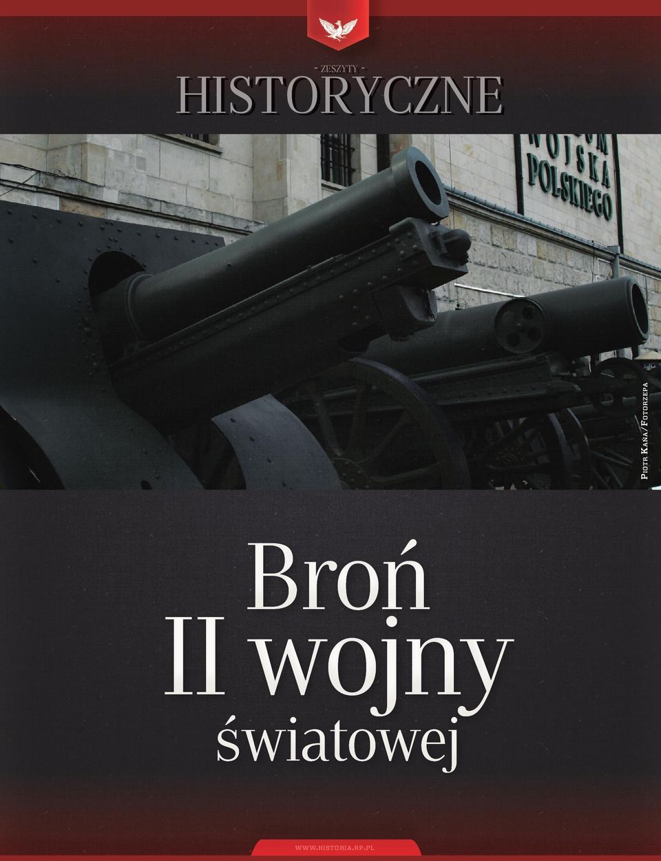 Kańa/Fotorzepa Broń