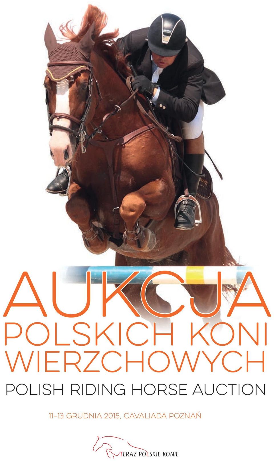 RIDING HORSE AUCTION 11