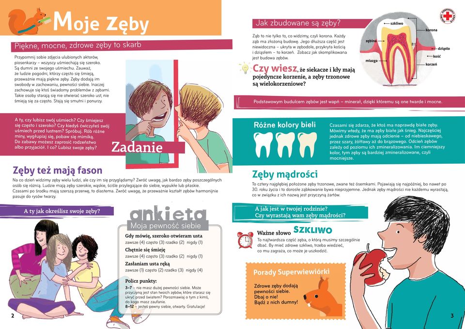 Takie osoby starają się nie otwierać szeroko ust, nie śmieją się za często. Stają się smutni i ponurzy. Jak zbudowane są zęby? Ząb to nie tylko to, co widzimy, czyli korona.