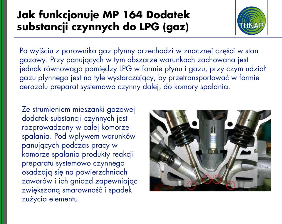 przetransportować w formie aerozolu preparat systemowo czynny dalej, do komory spalania.