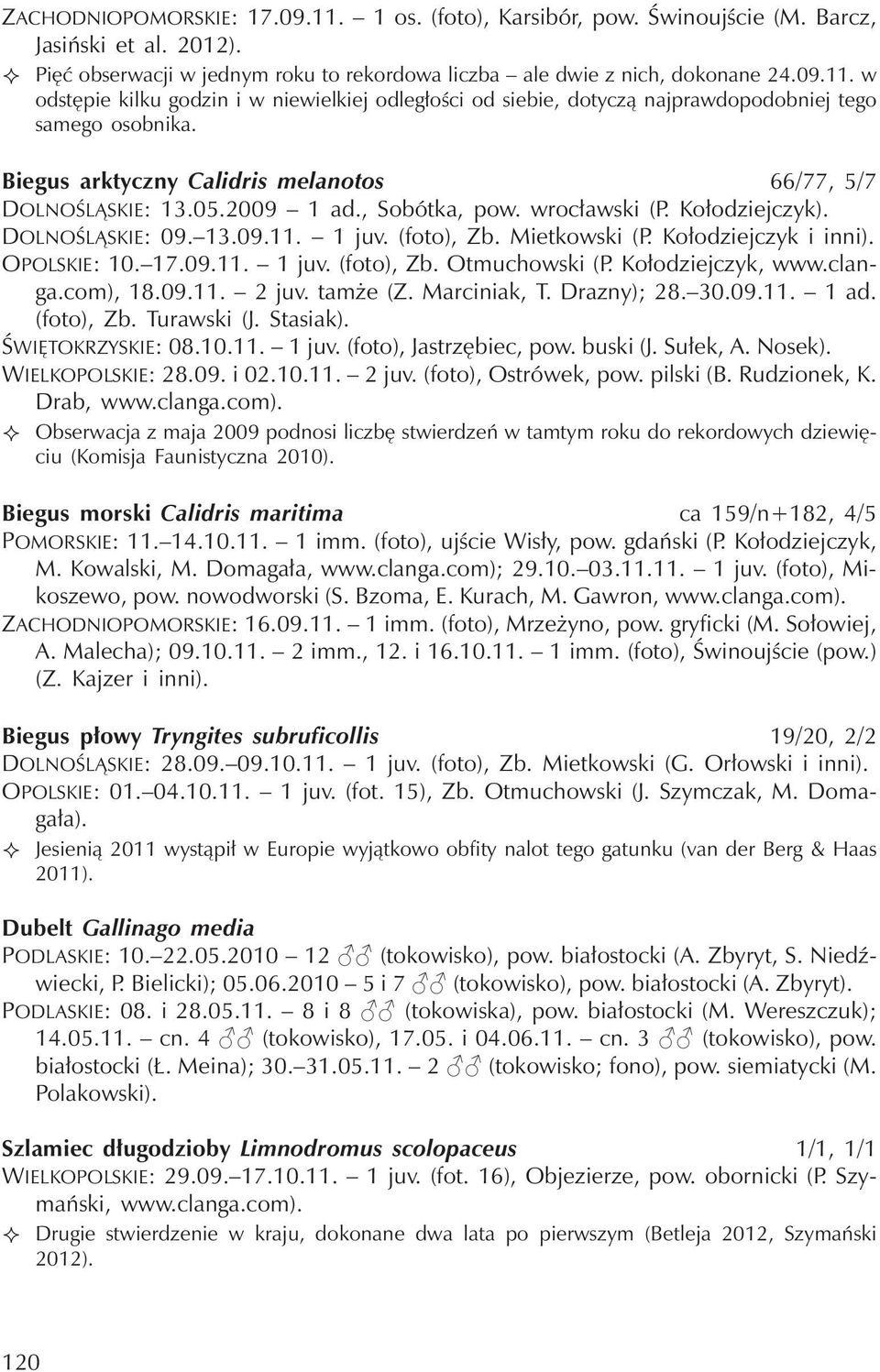 Kołodziejczyk i inni). OPOLSKIE: 10. 17.09.11. 1juv.(foto), Zb. Otmuchowski (P. Kołodziejczyk, www.clanga.com), 18.09.11. 2juv.tamże(Z.Marciniak, T. Drazny); 28. 30.09.11. 1ad. (foto), Zb.