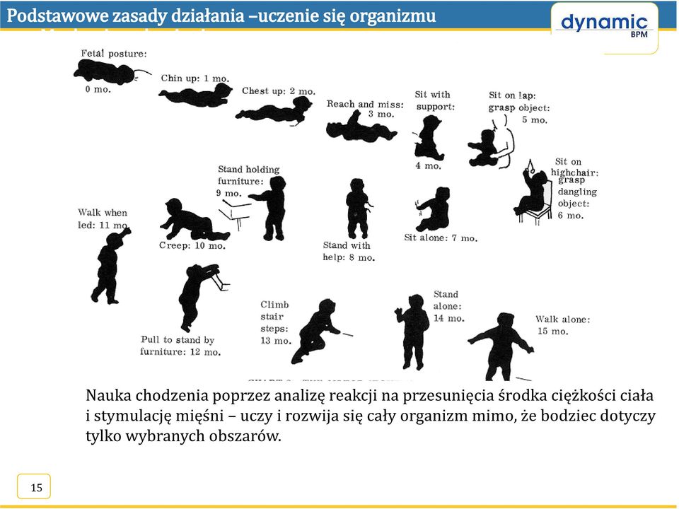 stymulację mięśni uczy i rozwija się cały