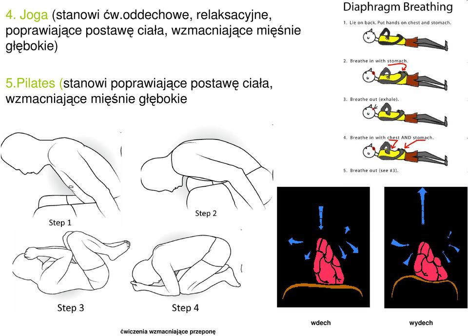 wzmacniające mięśnie głębokie) 5.