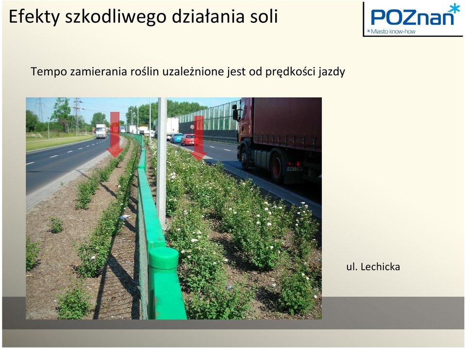 zamierania roślin