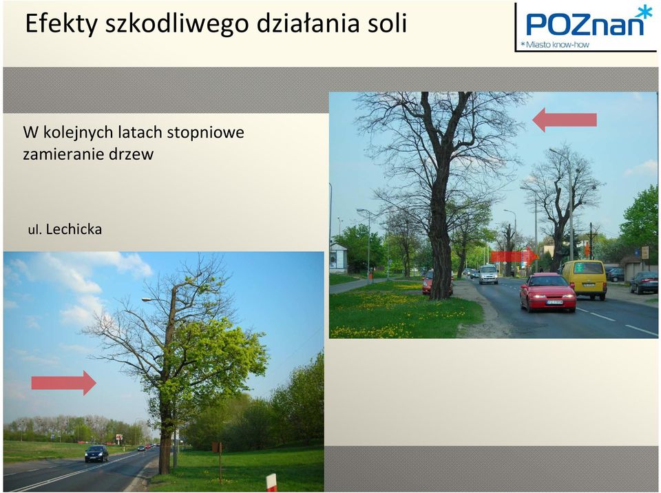 kolejnych latach