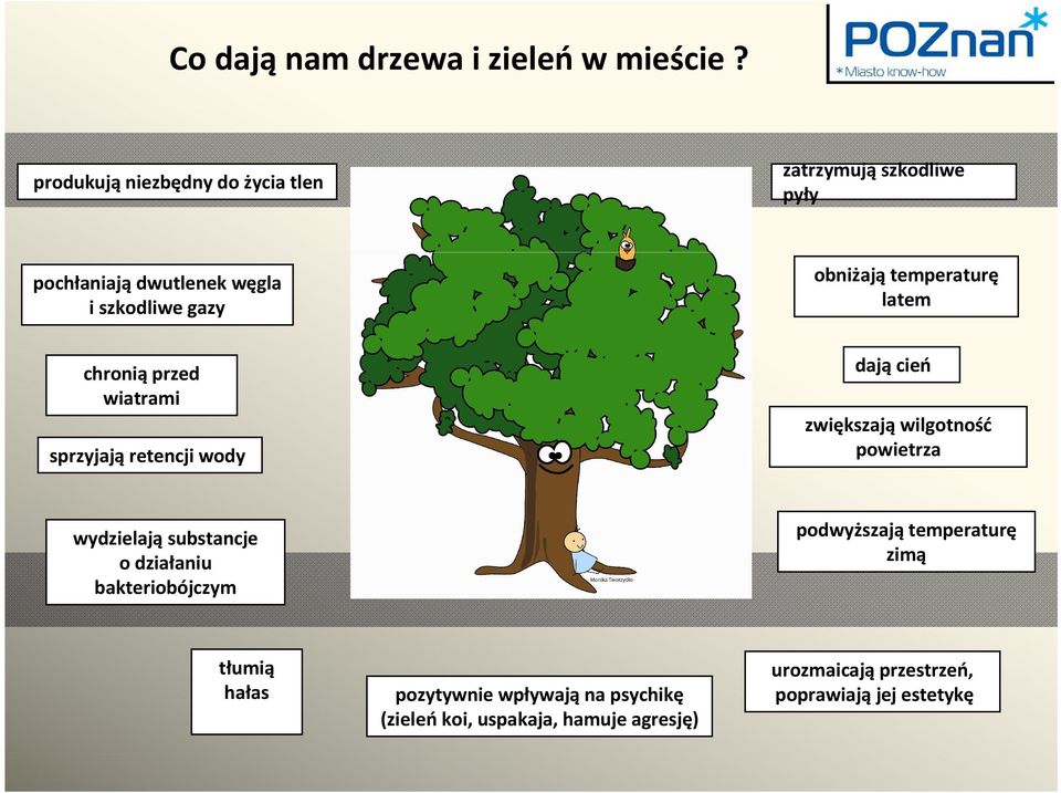temperaturę latem chronią przed wiatrami sprzyjają retencji wody dają cień zwiększają wilgotność powietrza wydzielają