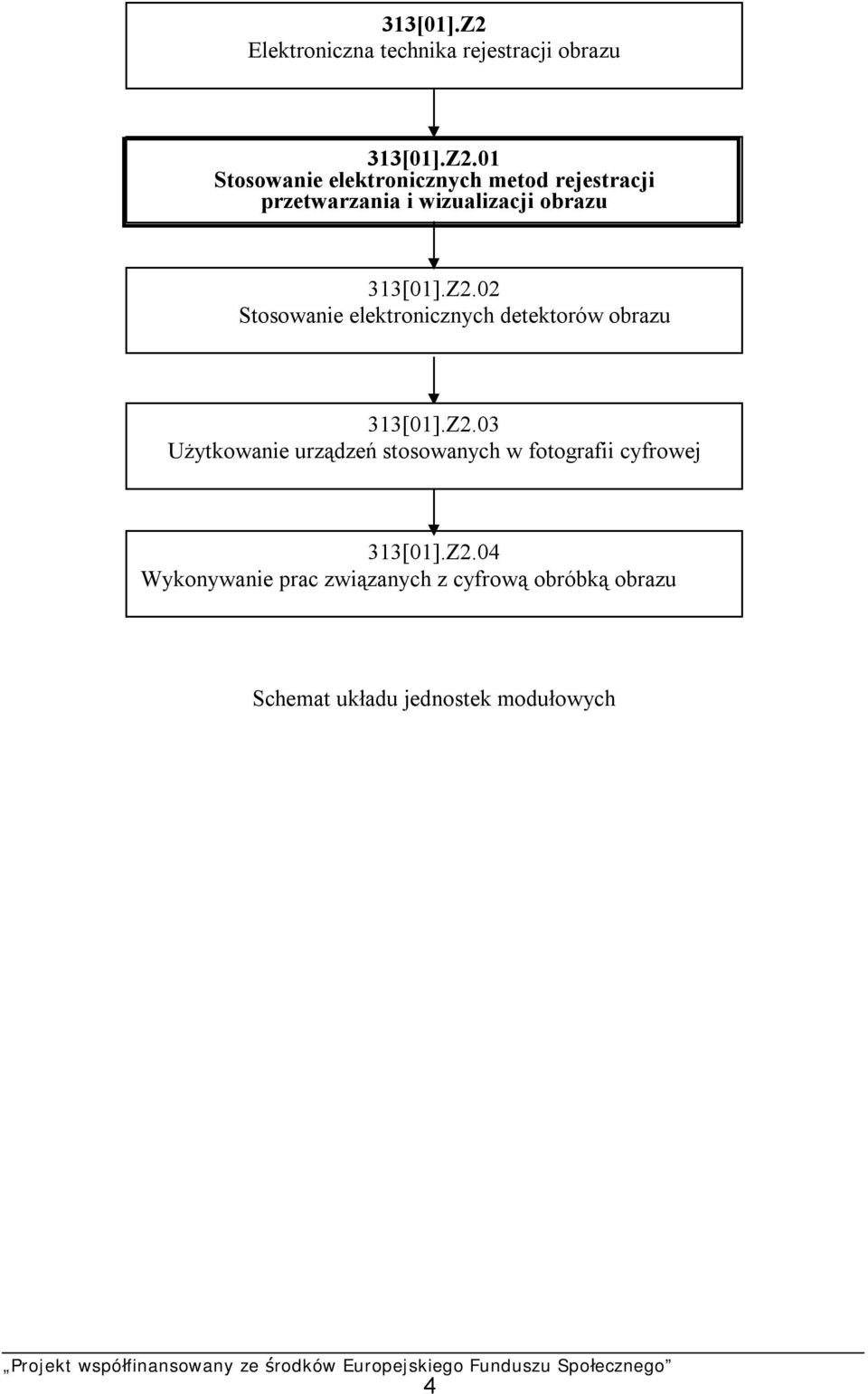 01 Stosowanie elektronicznych metod rejestracji przetwarzania i wizualizacji obrazu 313[01].Z2.