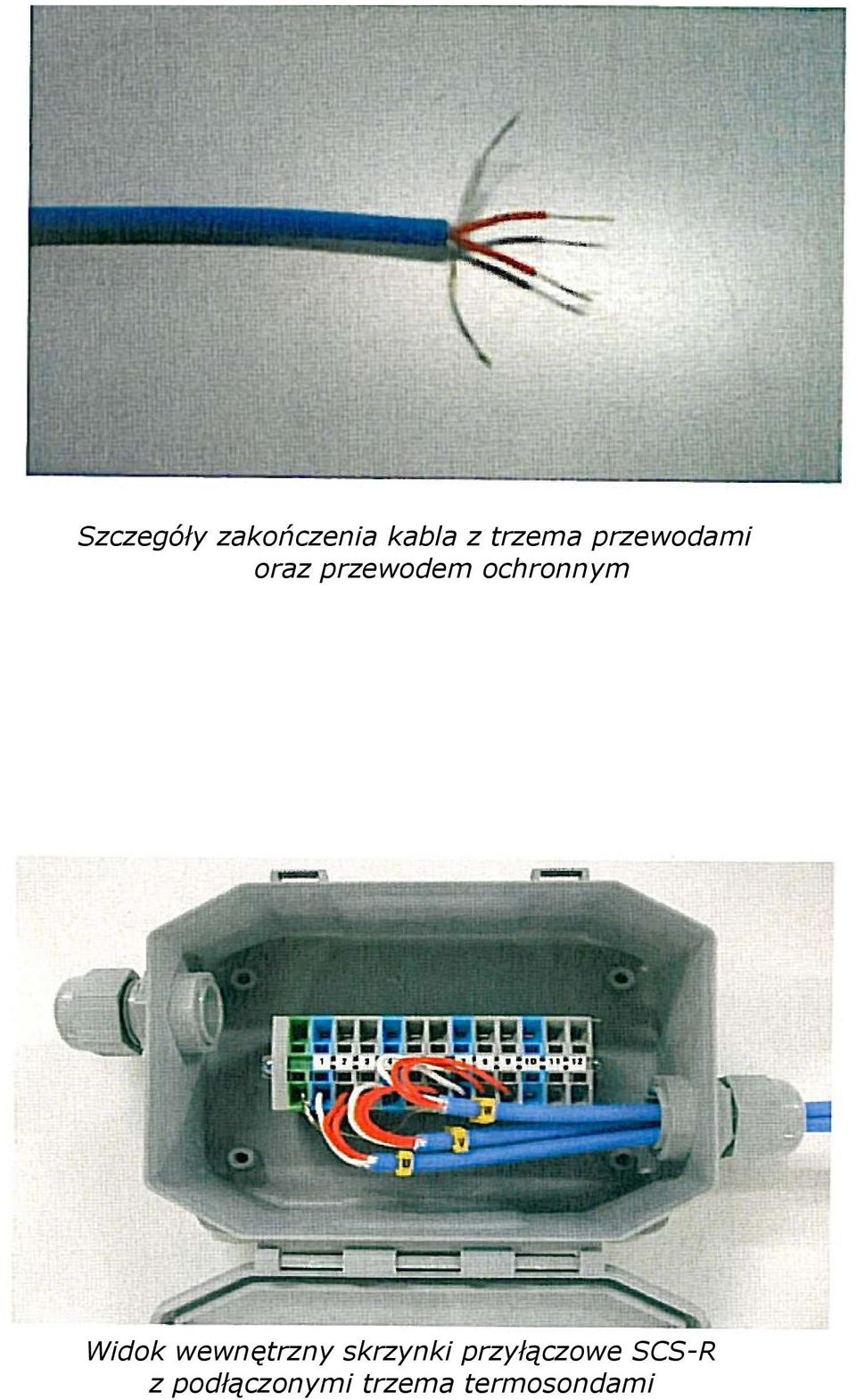 Widok wewnętrzny skrzynki przyłączowe