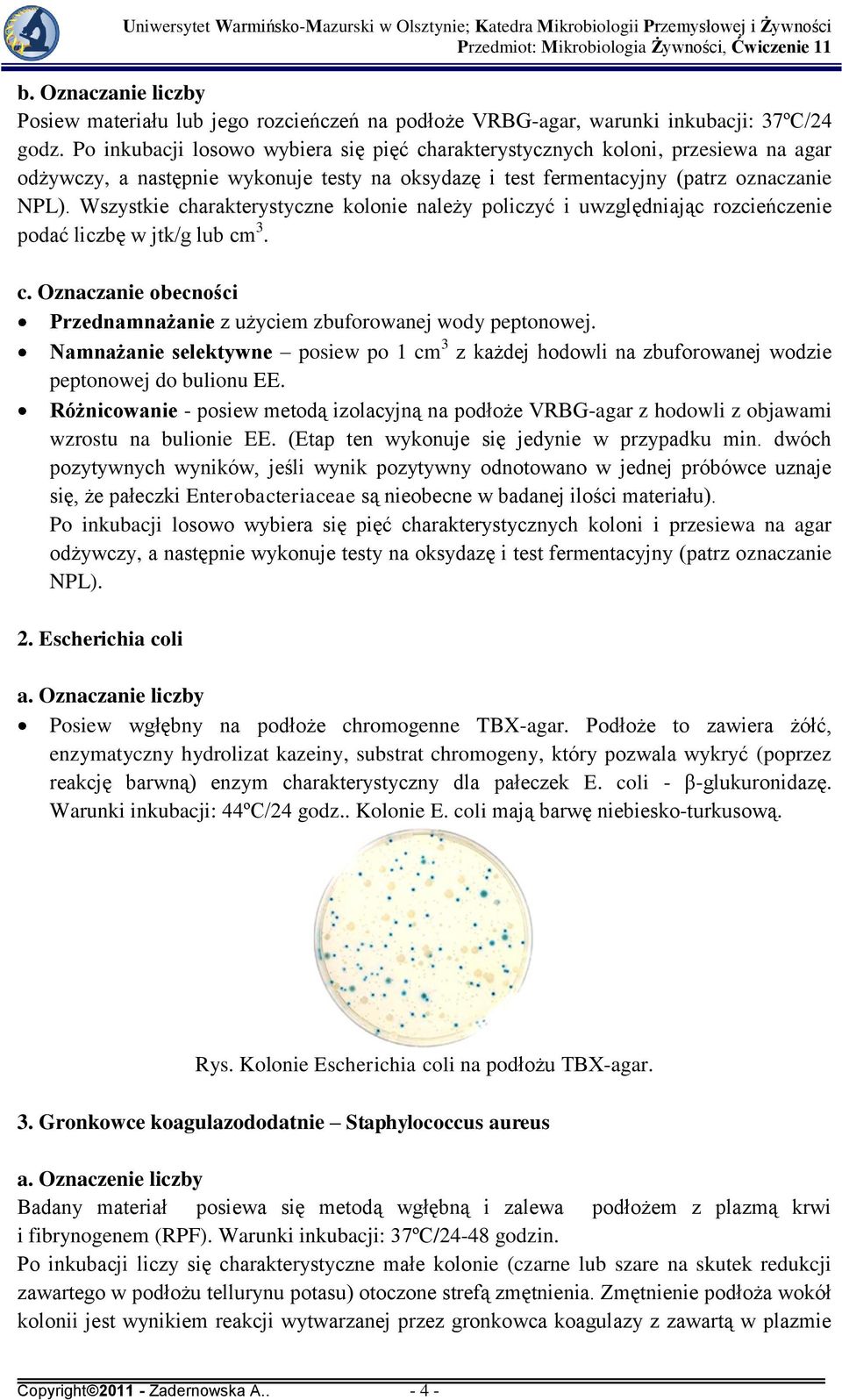 Wszystkie charakterystyczne kolonie należy policzyć i uwzględniając rozcieńczenie podać liczbę w jtk/g lub cm 3. c. Oznaczanie obecności Przednamnażanie z użyciem zbuforowanej wody peptonowej.