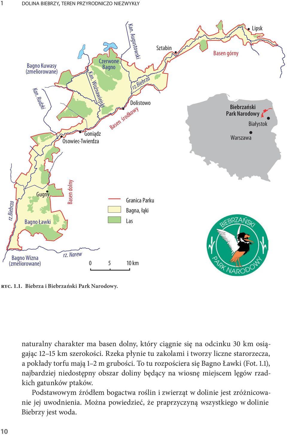 biebrza Gugny Bagno Ławki Basen dolny Granica Parku Bagna, łąki Las torfowiska Bagno Wizna (zmeliorowane) rz. Narew 0 5 0 km ryc... Biebrza i Biebrzański Park Narodowy.