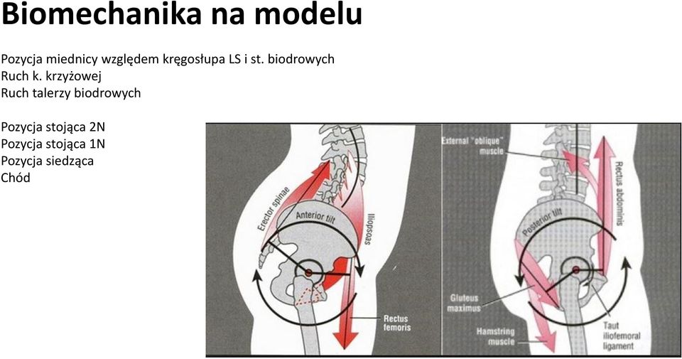 biodrowych Ruch k.