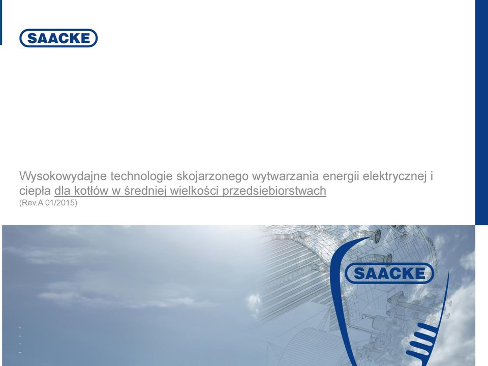 wielkości przedsiębiorstwach (Rev.