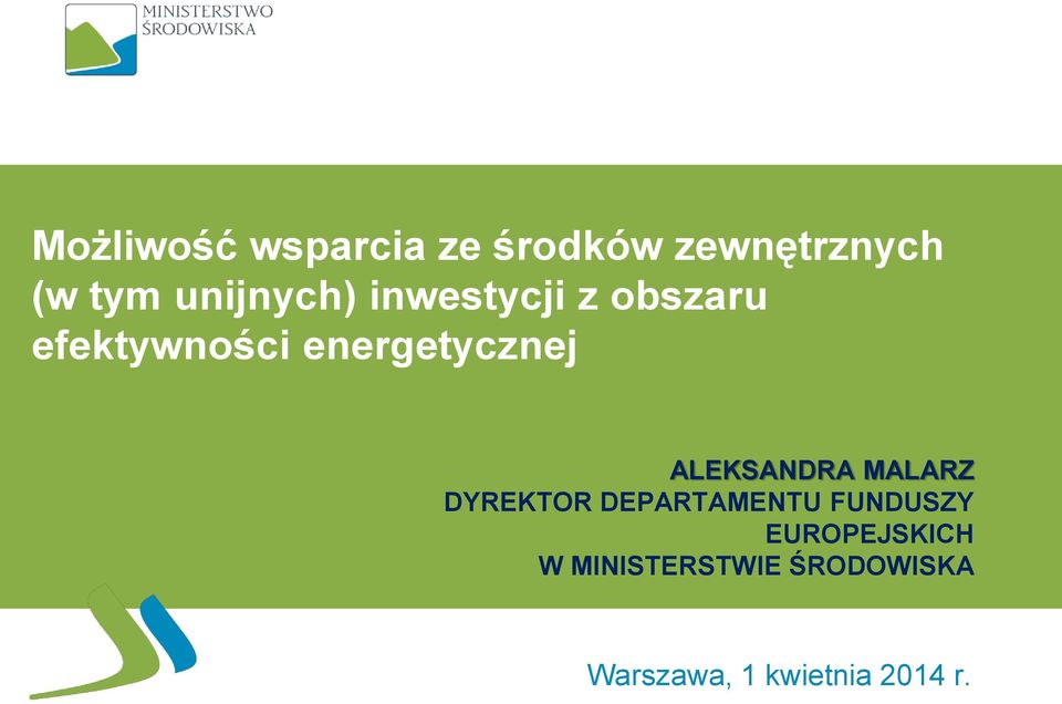 energetycznej ALEKSANDRA MALARZ DYREKTOR DEPARTAMENTU