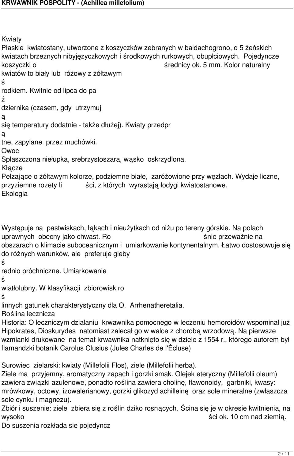 Kwiaty przedpr tne, zapylane przez muchówki. Owoc Spłaszczona niełupka, srebrzystoszara, wsko oskrzydlona. Kłcze Pełzajce o żółtawym kolorze, podziemne białe, zaróżowione przy węzłach.