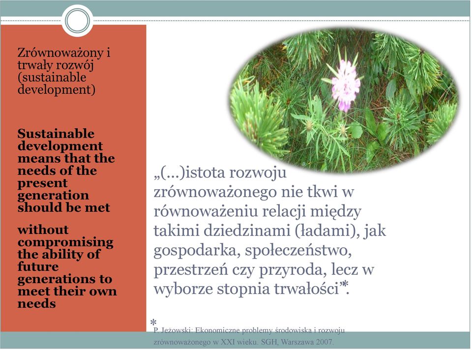 nie tkwi w równoważeniu relacji między takimi dziedzinami (ładami), jak gospodarka, społeczeństwo, przestrzeń czy przyroda,