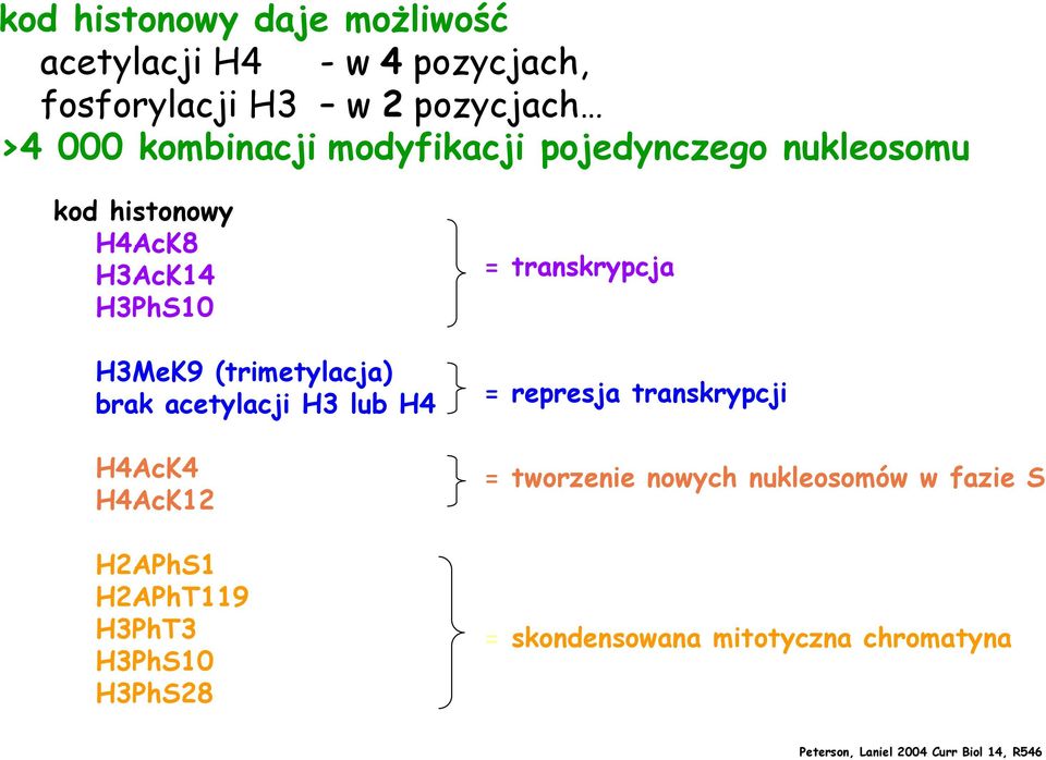 H3 lub H4 H4AcK4 H4AcK12 H2APhS1 H2APhT119 H3PhT3 H3PhS10 H3PhS28 = transkrypcja = represja transkrypcji =