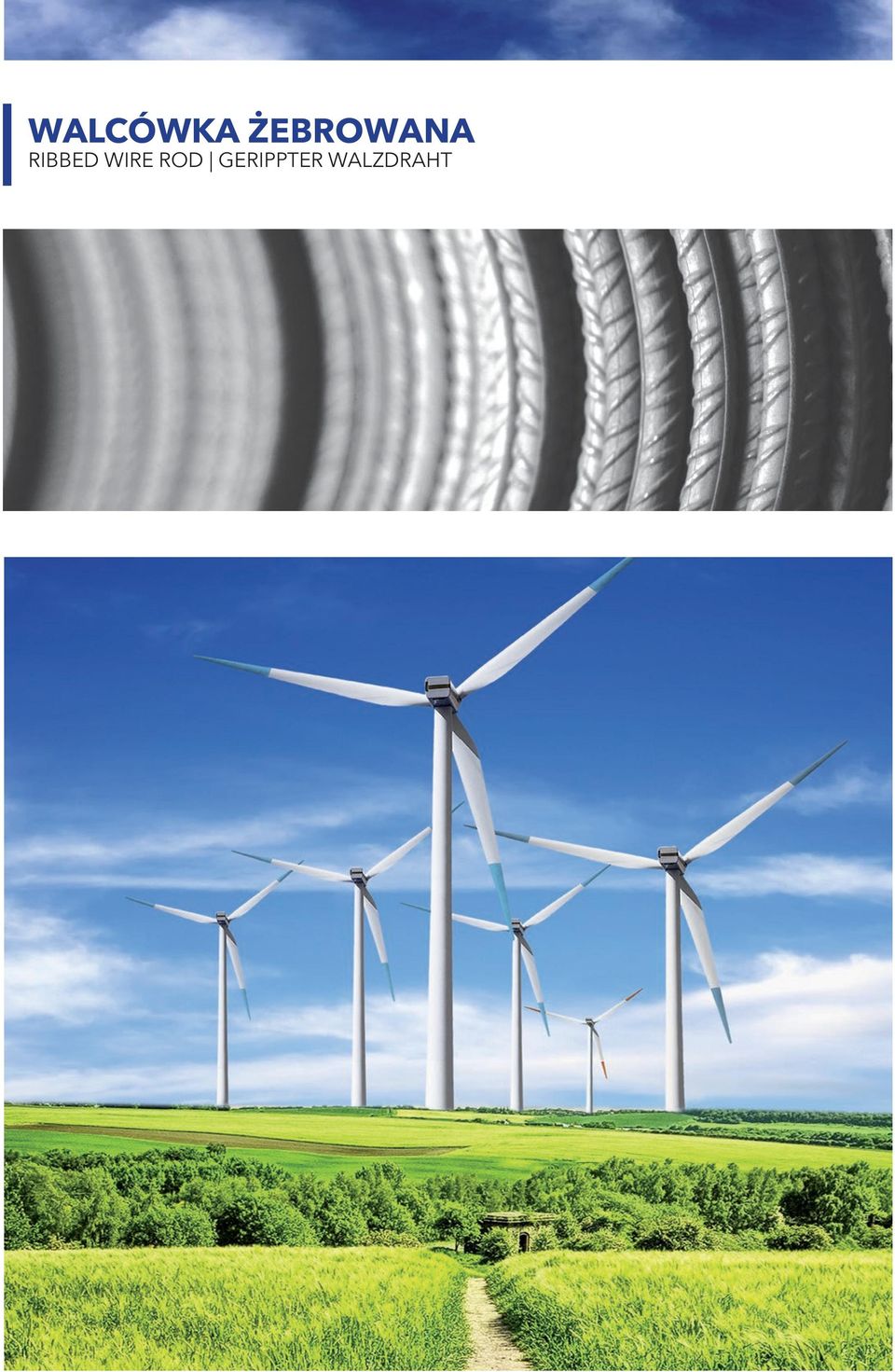 RIBBED WIRE