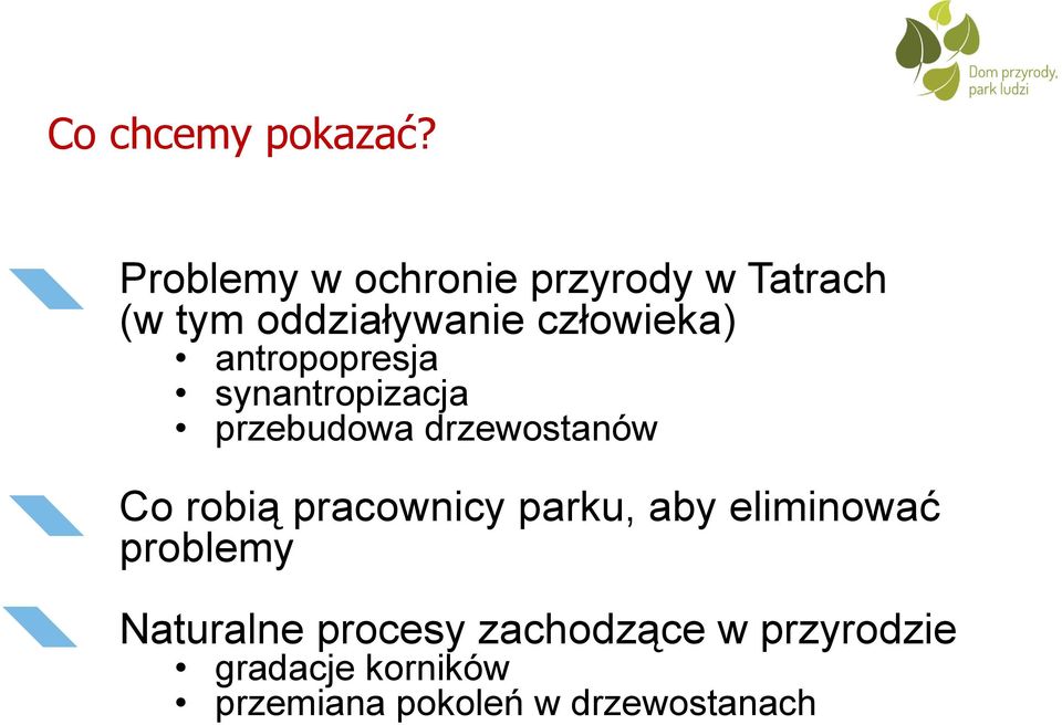 antropopresja synantropizacja przebudowa drzewostanów Co robią