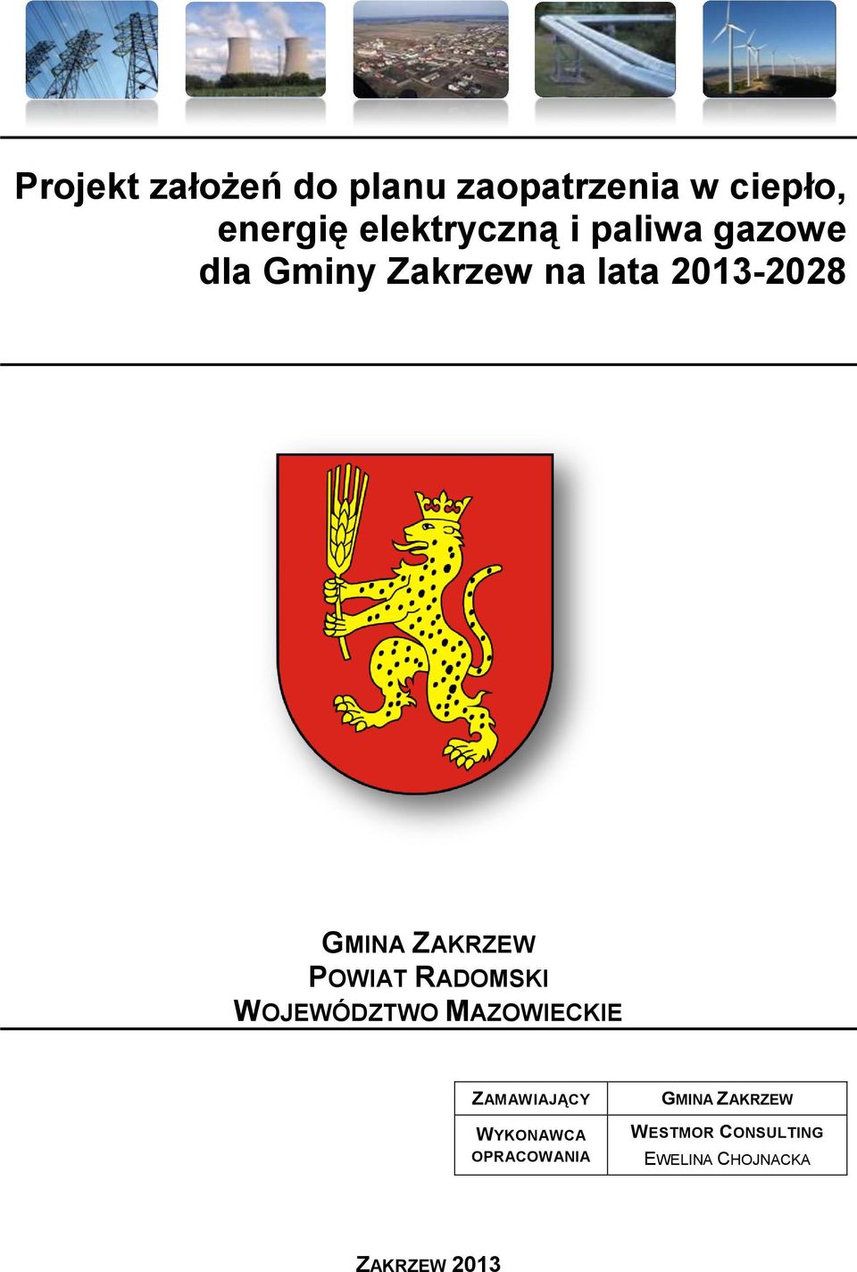 POWIAT RADOMSKI WOJEWÓDZTWO MAZOWIECKIE ZAMAWIAJĄCY WYKONAWCA