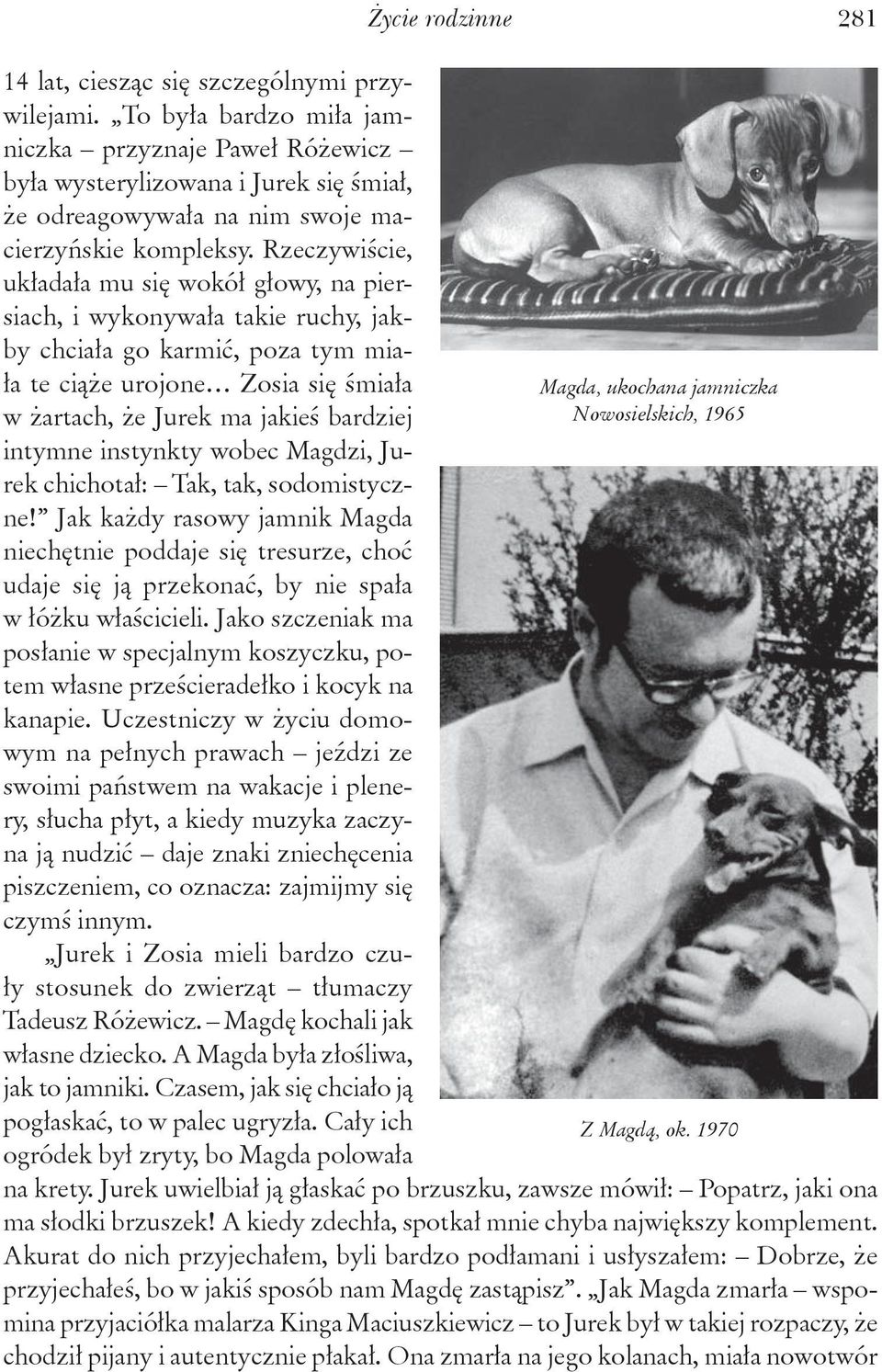intymne instynkty wobec Magdzi, Jurek chichotał: Tak, tak, sodomistyczne! Jak każdy rasowy jamnik Magda niechętnie poddaje się tresurze, choć udaje się ją przekonać, by nie spała w łóżku właścicieli.