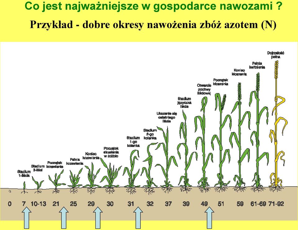 Przykład - dobre okresy