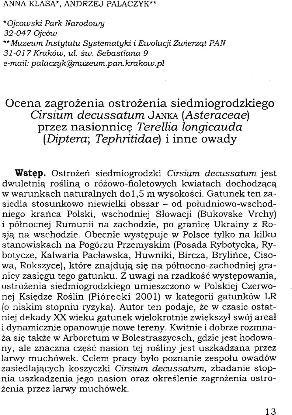 Ostrożeń siedmiogrodzki Cirsium decussatum jest dwuletnią rośliną o różowo-fioletowych kwiatach dochodzącą w warunkach naturalnych do 1,5 m wysokości.