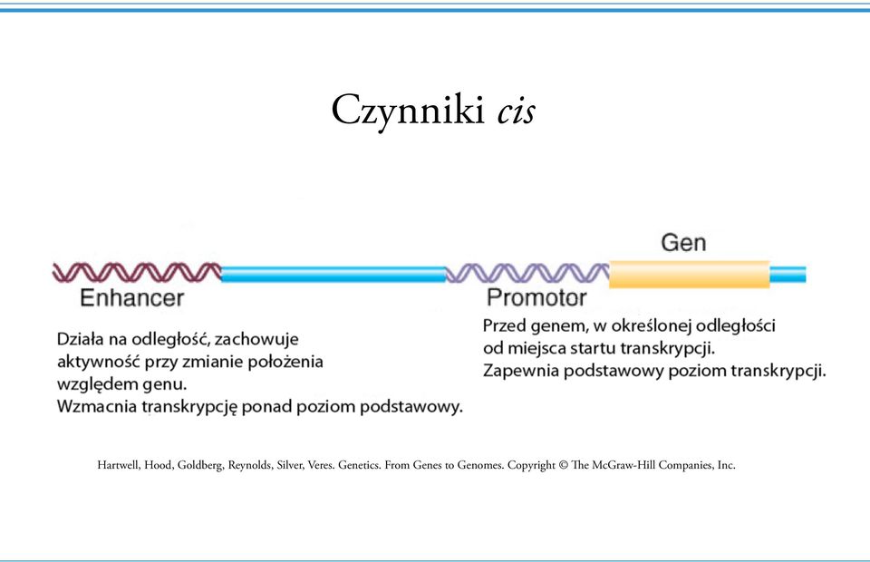 Genetics. From Genes to Genomes.