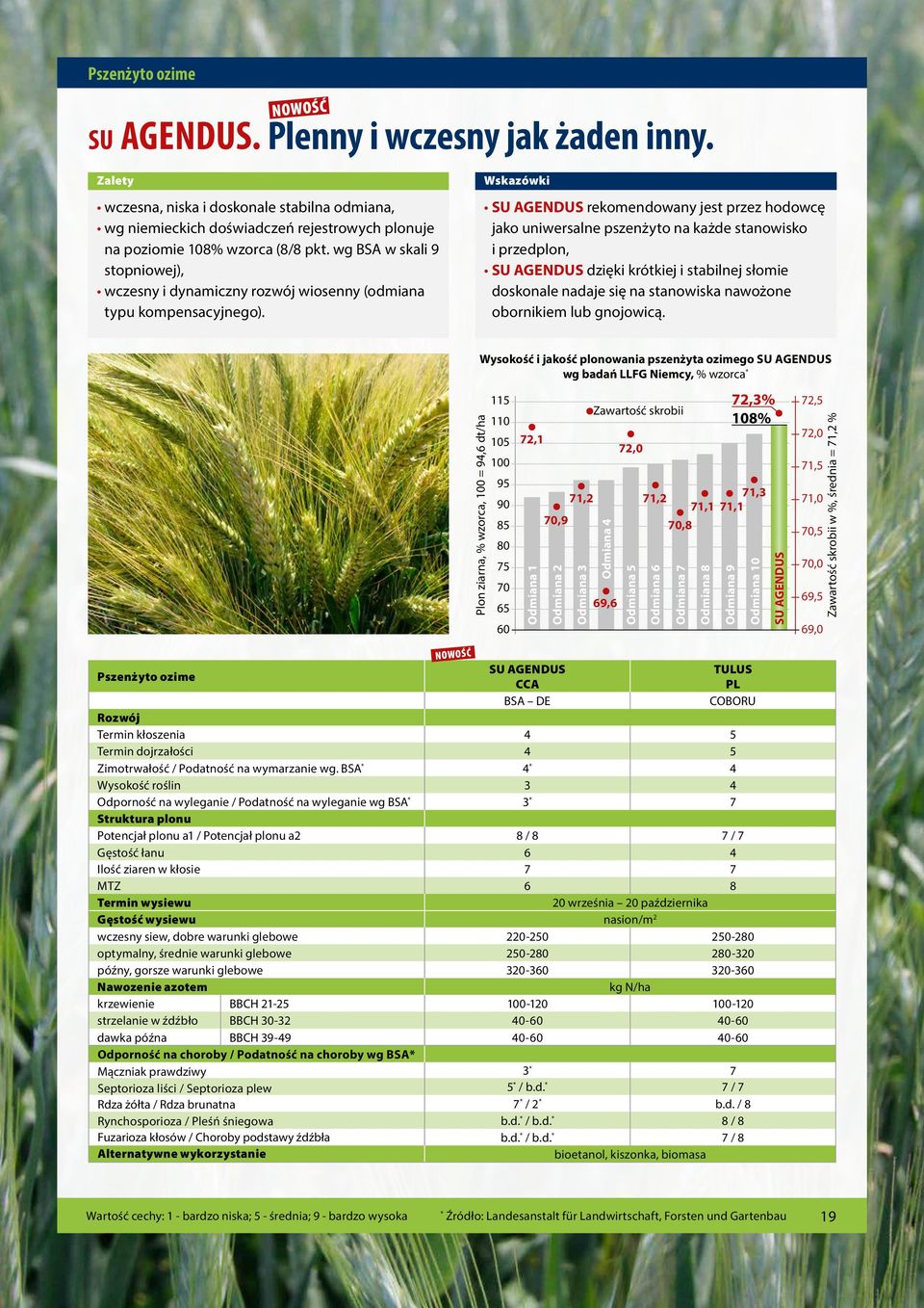 SU AGENDUS rekomendowany jest przez hodowcę jako uniwersalne pszenżyto na każde stanowisko i przedplon, SU AGENDUS dzięki krótkiej i stabilnej słomie doskonale nadaje się na stanowiska nawożone