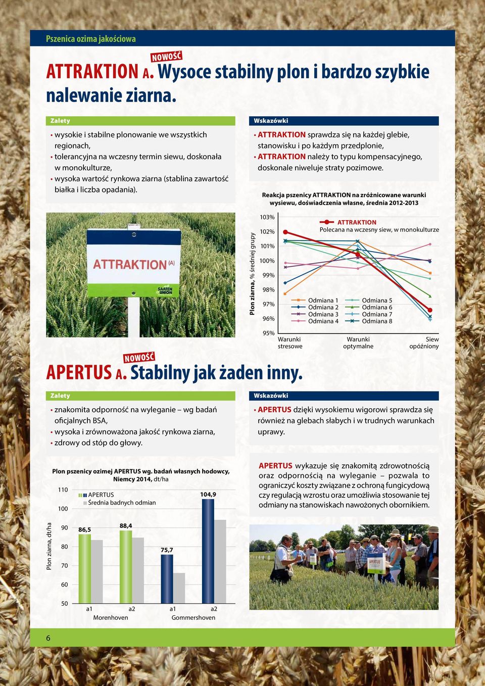 ATTRAKTION sprawdza się na każdej glebie, stanowisku i po każdym przedplonie, ATTRAKTION należy to typu kompensacyjnego, doskonale niweluje straty pozimowe.