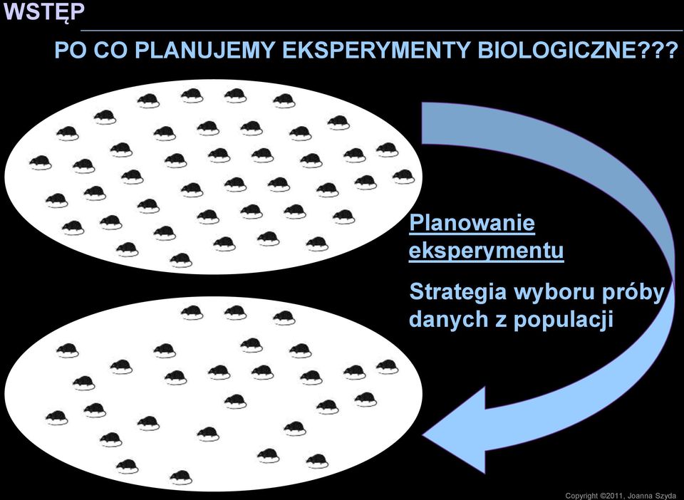 ?? Planowanie eksperymentu