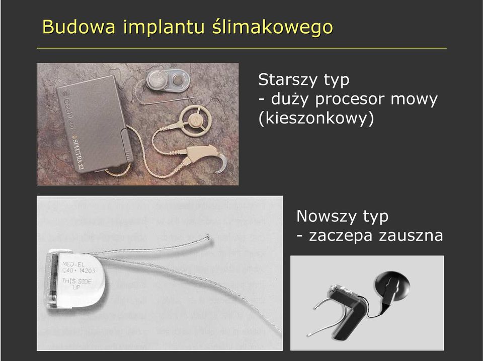 duży procesor mowy