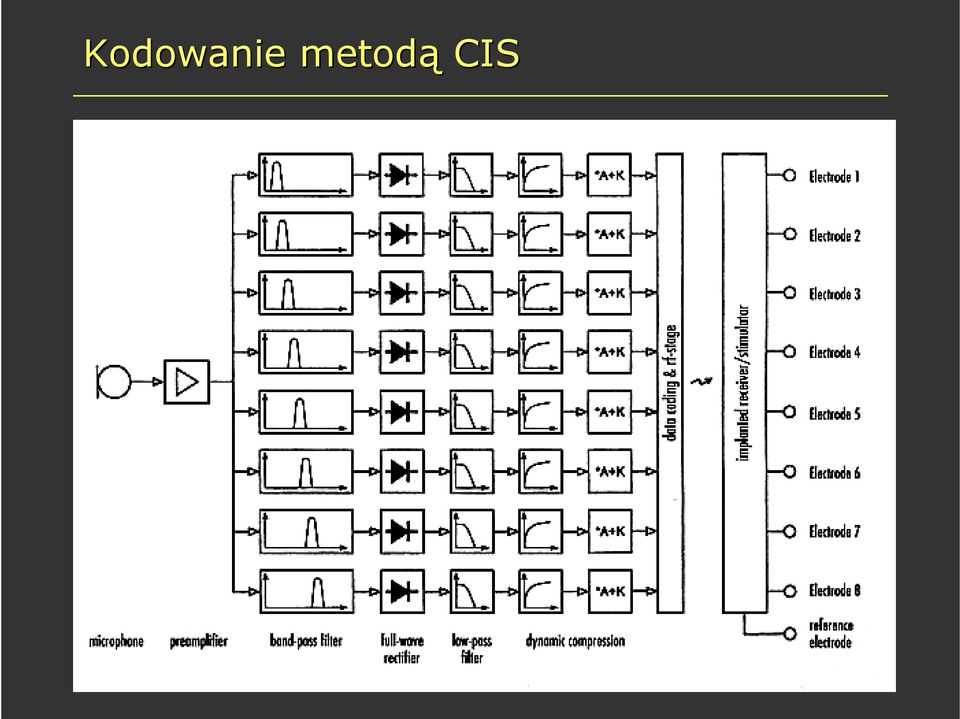 CIS
